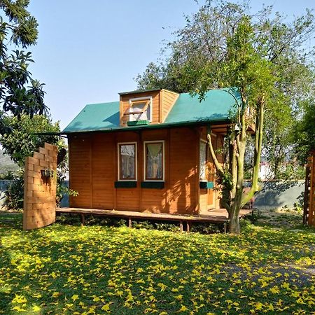 Hotel Mini House Park Campo Alegre  Esterno foto