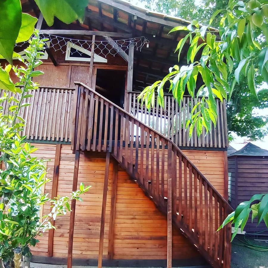 Hotel Mini House Park Campo Alegre  Esterno foto