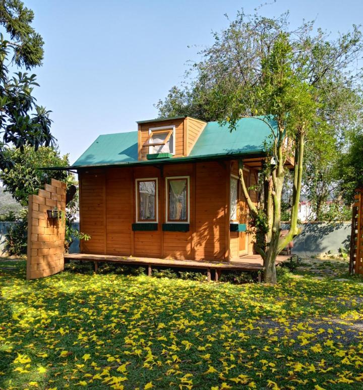 Hotel Mini House Park Campo Alegre  Esterno foto