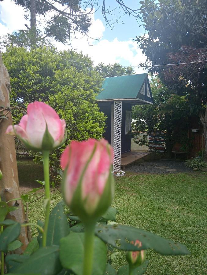 Hotel Mini House Park Campo Alegre  Esterno foto